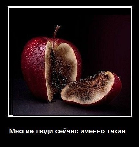 №18, Денис Станкунов, Москва, Россия №18, Денис Станкунов, Москва, Россия