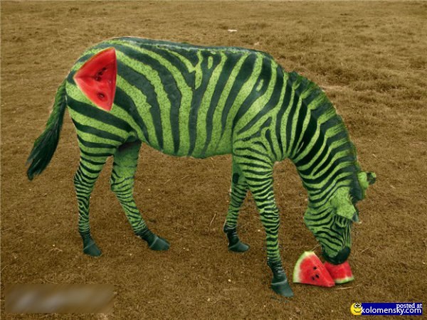 Алёна Чешенок | Щелково