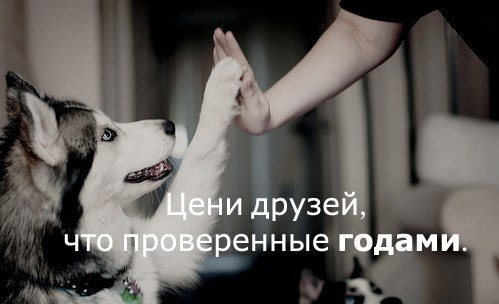 Тарас Коваль | Збараж