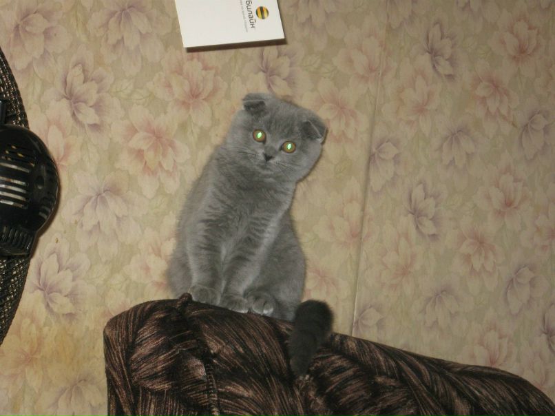 Алёна Шилова | Москва