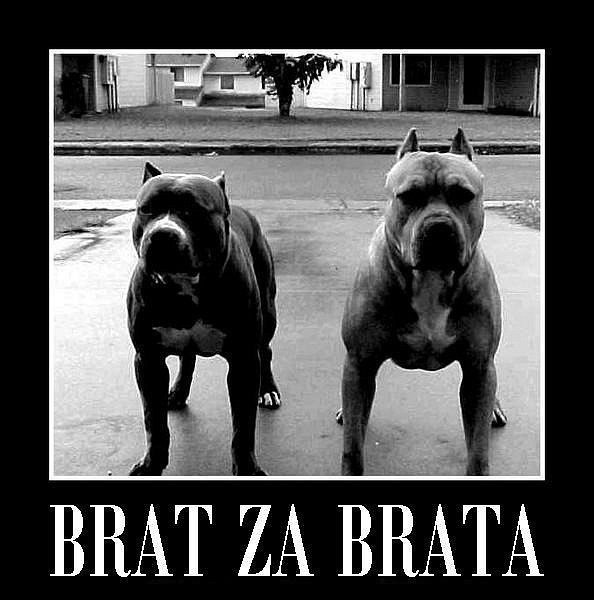 Валентин Руснак | Черновцы