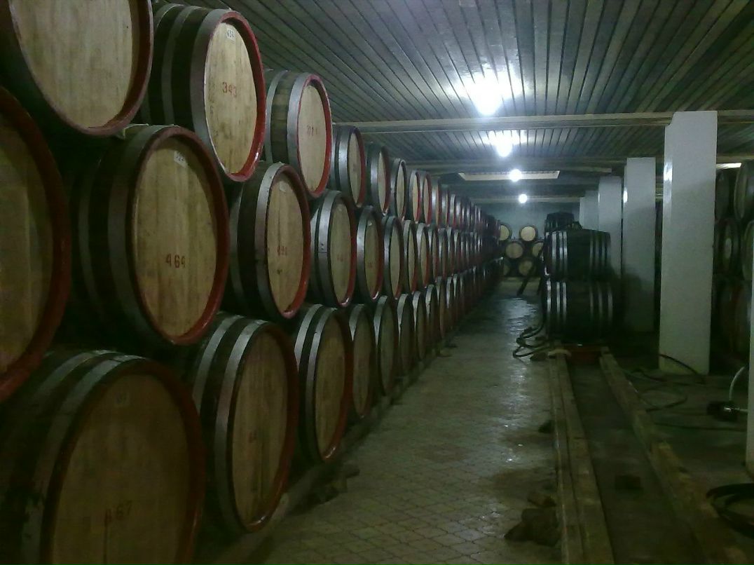 Макс Курганский | Челябинск