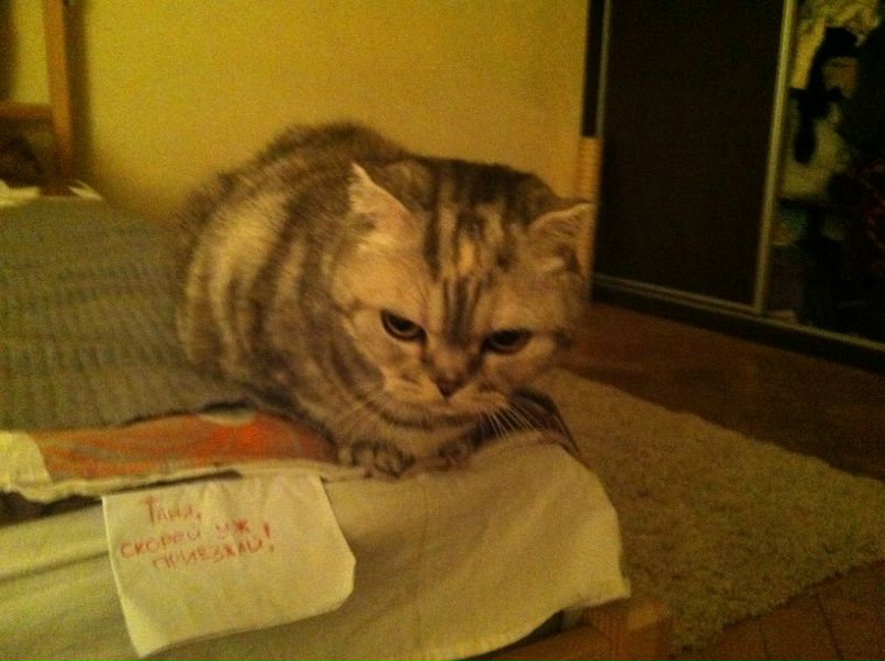 Алексей Юдин | Калининград