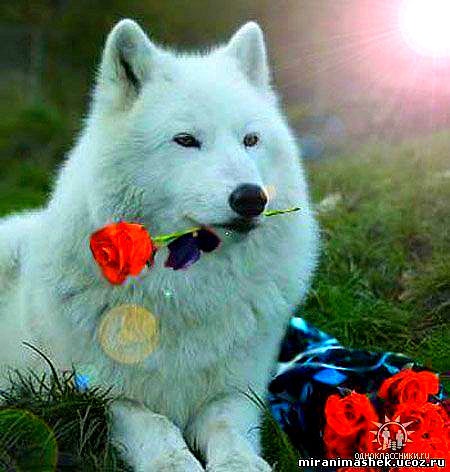 №22, Тамуна Карчава, Сочи №22, Тамуна Карчава, Сочи