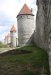 Алёна Печерица фотография #49