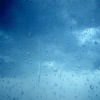 Аватар: Пашенция Чуприн