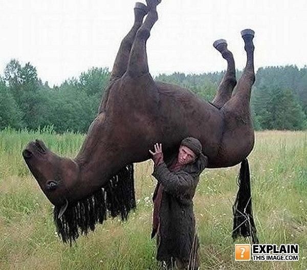 №42, Roman Bulban №42, Roman Bulban