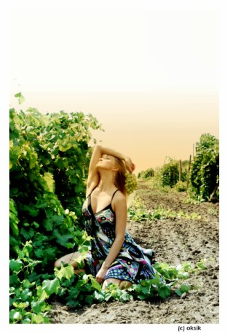 №119, Евгения Волчек, Одесса №119, Евгения Волчек, Одесса