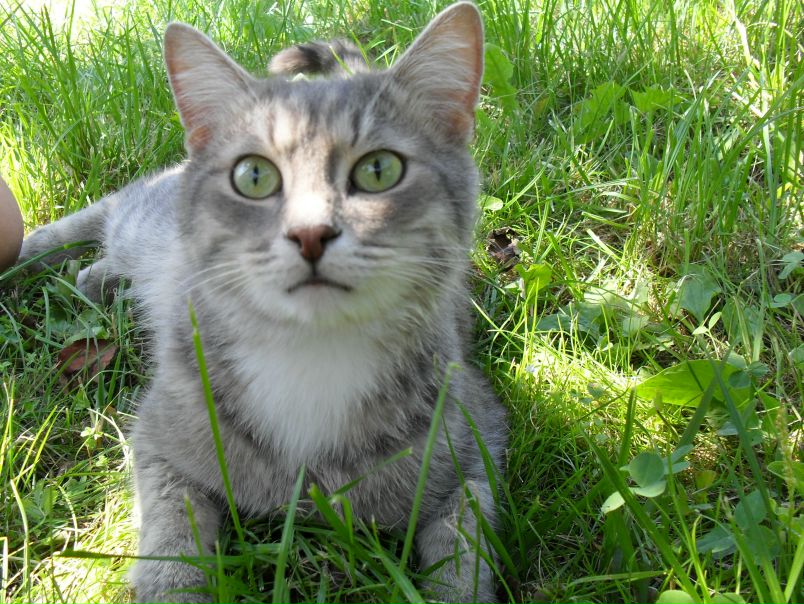 №1, Никита Лукьянов №1, Никита Лукьянов