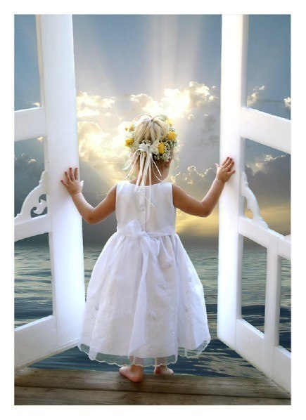 №159, Алла Лиса, Череповец №159, Алла Лиса, Череповец