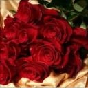 Elena Iliuts фото профиля #2