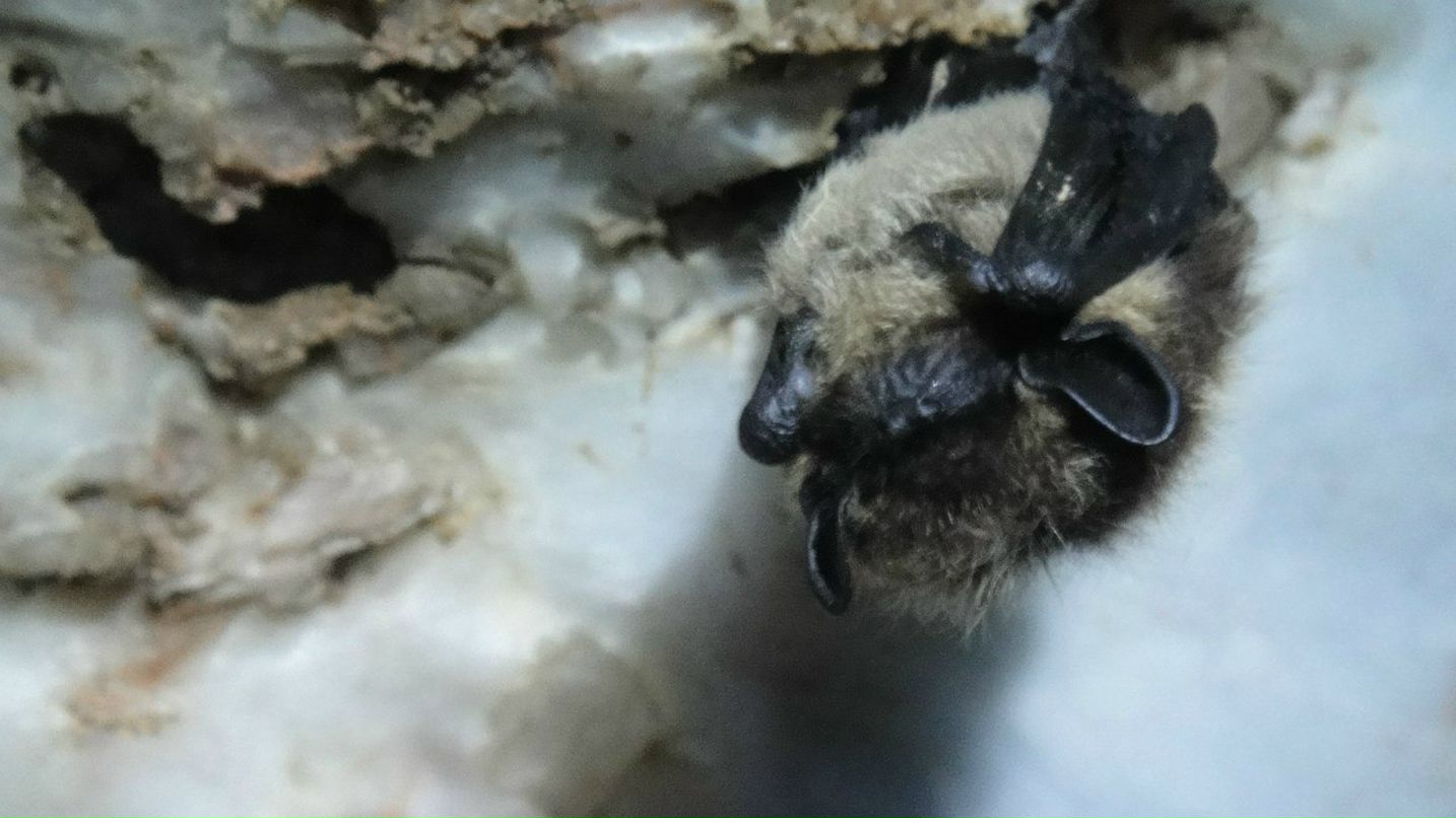 Александр Волохов | Северодвинск