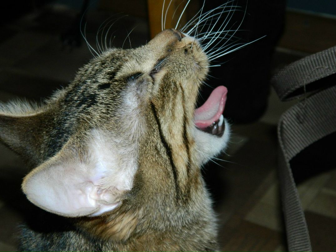 Ekaterina Wexler | Челябинск