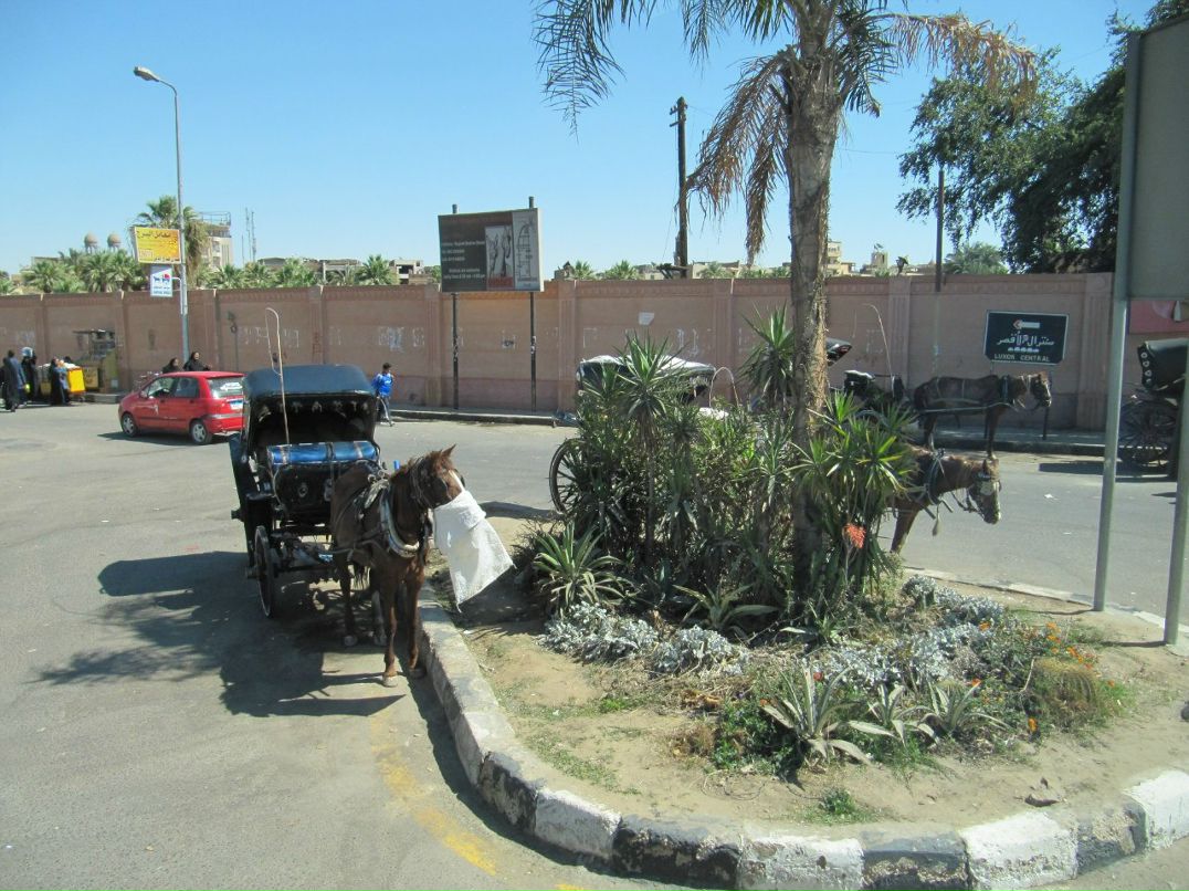 Андрей Анчуков | Домодедово