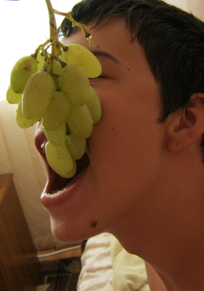 Алекс Ларив | Ярославль