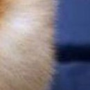 №127, Артём Пинул №127, Артём Пинул