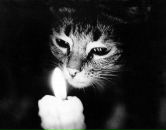 №41 Никита Снетков : профиль, фото, статус - ВКонтакте