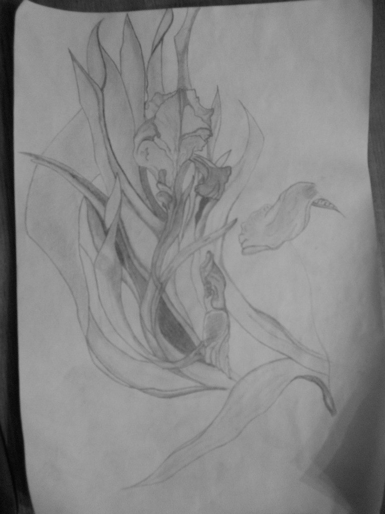 Алексей Могилевкин White^WOLF | Киев