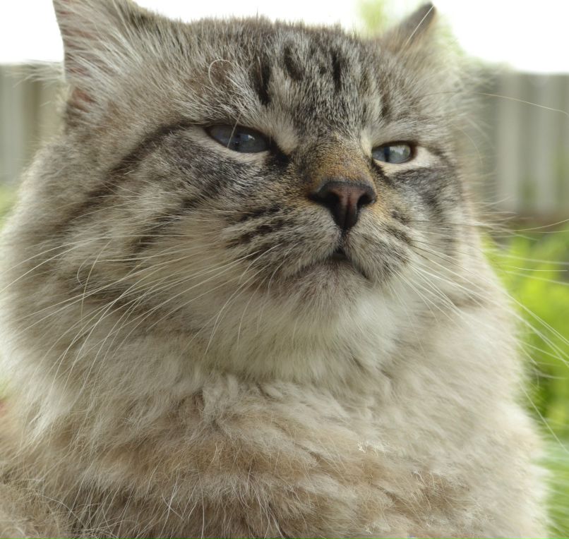 Александр Вербицкий | Тула