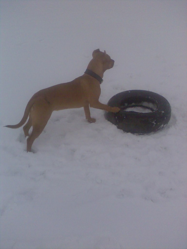 Слава Манжос | Харьков