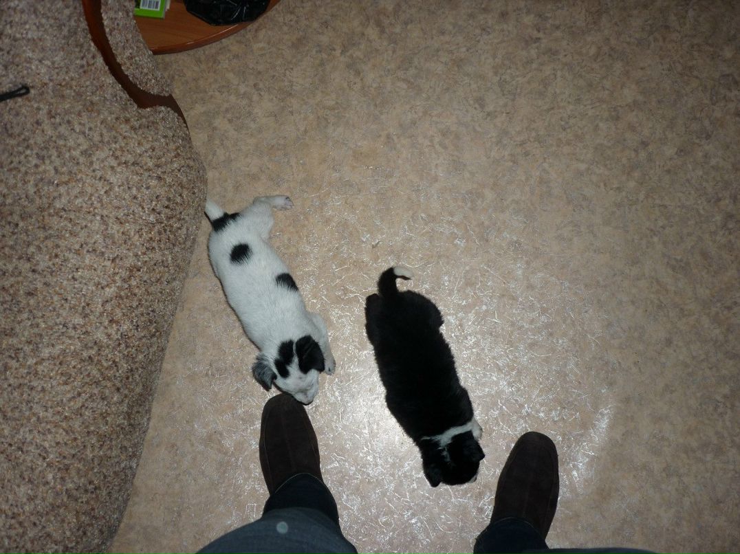 Славяна Дернова | Железногорск