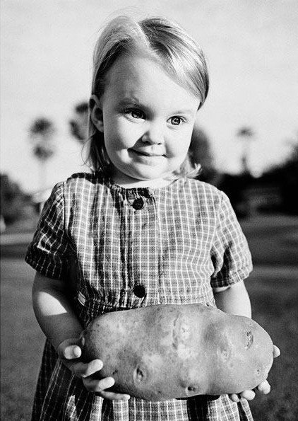 №43, Александра Шипко №43, Александра Шипко