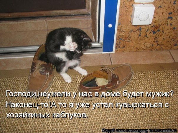 №2, Анжелика Донских №2, Анжелика Донских