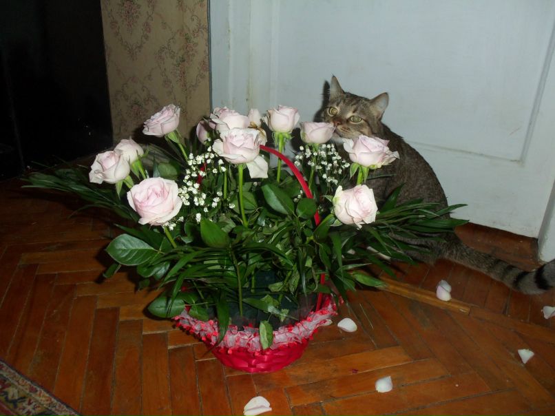 Ксения Кайгорода | Харьков