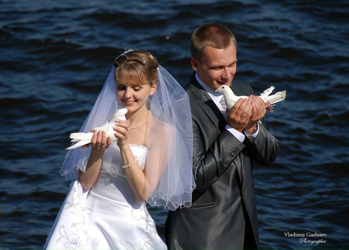 Владимир Гашнев | Санкт-Петербург