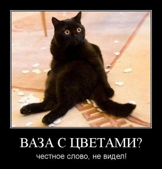 Никита Шавергин | Калуга