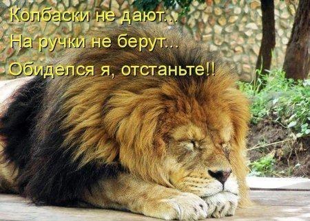 Ксения Февралева | Череповец