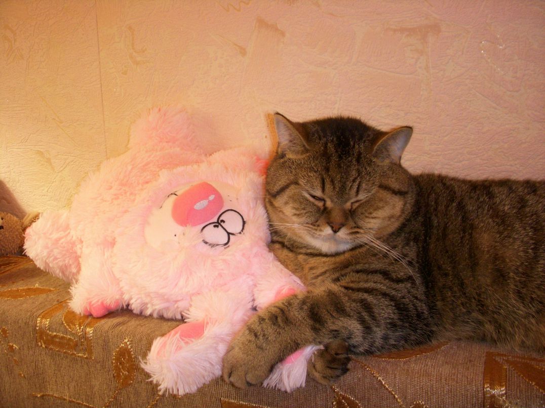 Ольга Вишнева | Псков