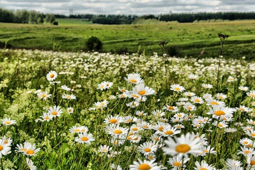 Ольга Малкова | Санкт-Петербург