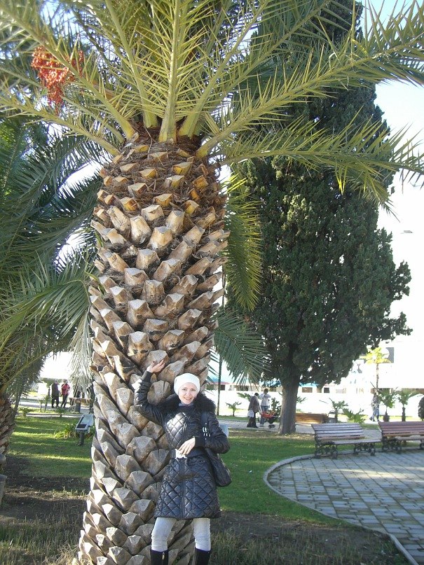 Алёна Платонова | Краснодар