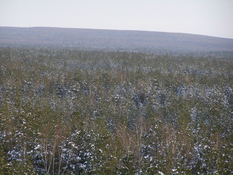 Алексей Друзин | Алатырь