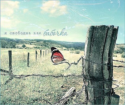 №152, Женечка Максимова, Краснодар №152, Женечка Максимова, Краснодар