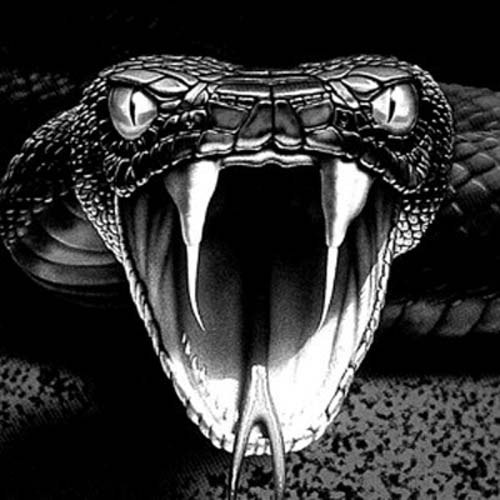 Лина Калина | Великий Новгород