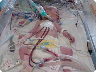 №18, Андрей Волков №18, Андрей Волков