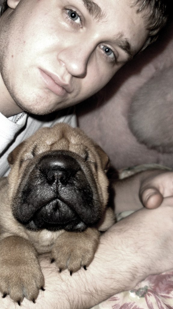 Денис Медовщиков | Красноярск