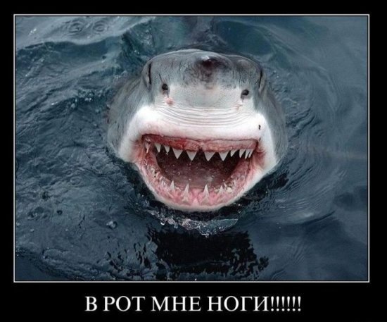 №47, Дмитрий Трофанюк, Днепр (Днепропетровск) №47, Дмитрий Трофанюк, Днепр (Днепропетровск)