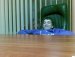 Дмитрий Данилов фотография #17