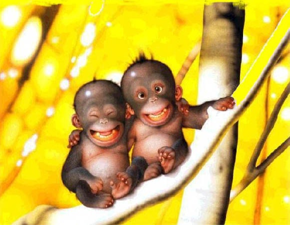 №4, Ильнур Шаехов №4, Ильнур Шаехов