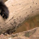 №105, Алина Деревянко, Харьков №105, Алина Деревянко, Харьков