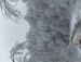 Георгий Дроздов фотография #32 (источник - https://vk.com/id132920638)