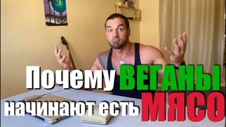 Почему Веганы начинают есть мясо рыбу яйца и молочку