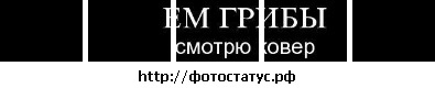 №70, Анастасия Костюкова, 35 лет, Самара №70, Анастасия Костюкова, 35 лет, Самара