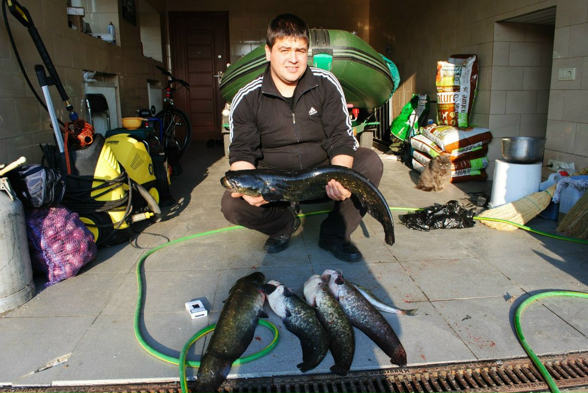 Богдан Аврамчук | Новая Чортория