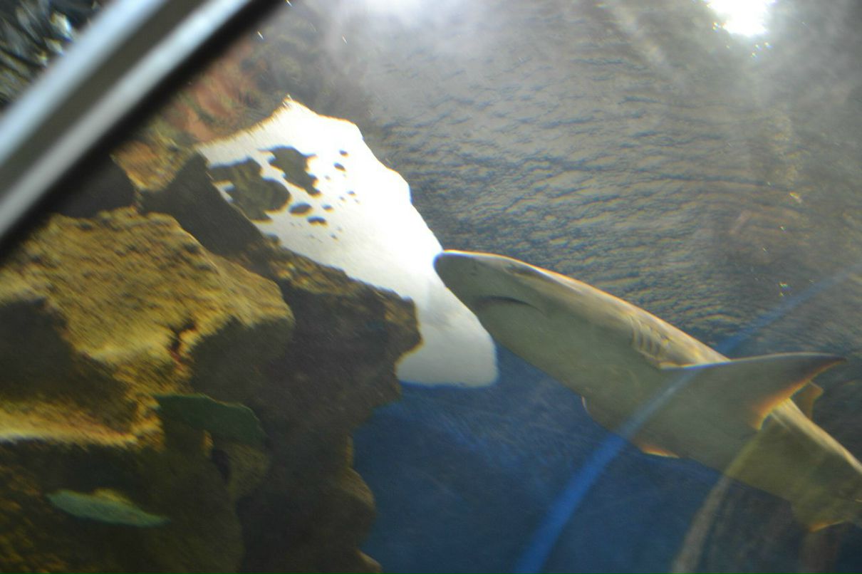 Ленка Щербакова NIKTCHEMY | Санкт-Петербург