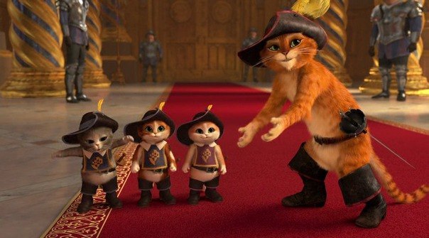 Андрей Степанов | Санкт-Петербург