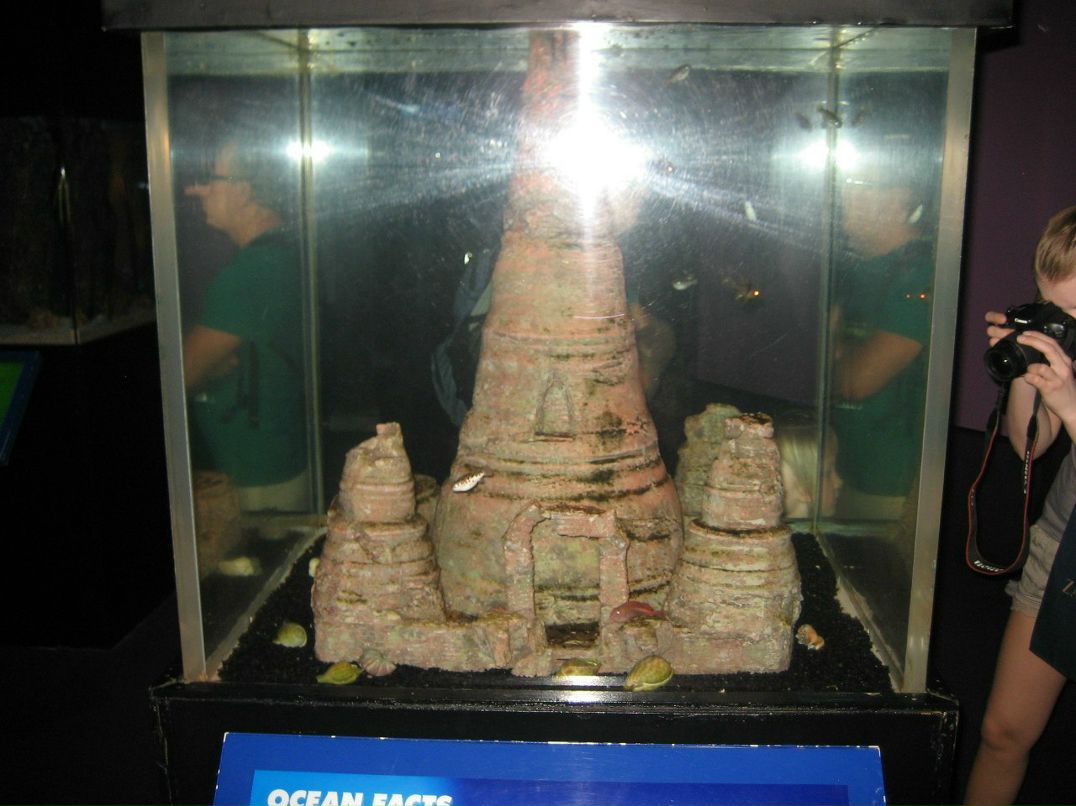 Lena Lyutkova | Алматы